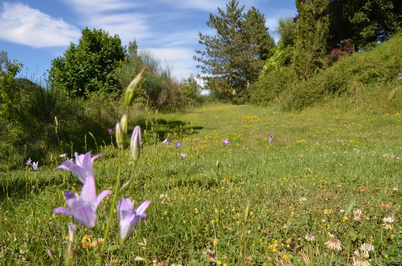 Agriturismo Villa Mozart Nel Verde 古比奥 外观 照片