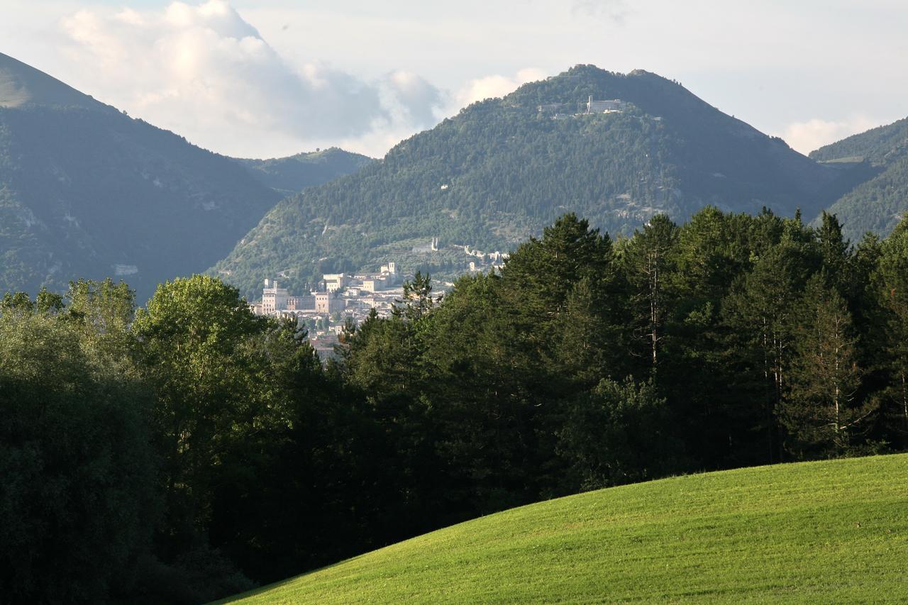 Agriturismo Villa Mozart Nel Verde 古比奥 外观 照片