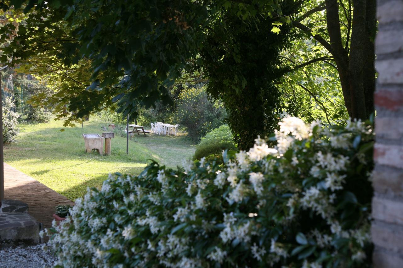 Agriturismo Villa Mozart Nel Verde 古比奥 外观 照片