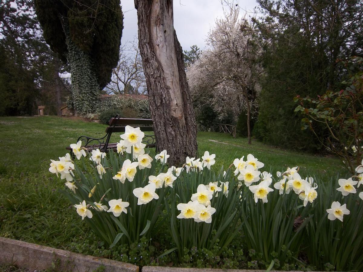Agriturismo Villa Mozart Nel Verde 古比奥 外观 照片