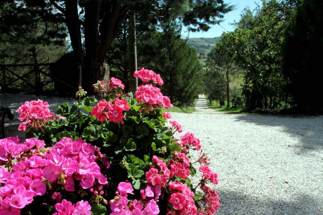 Agriturismo Villa Mozart Nel Verde 古比奥 外观 照片