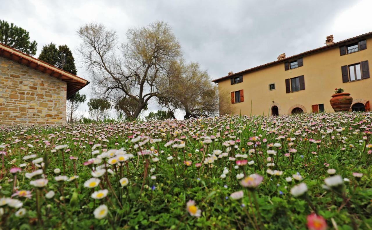 Agriturismo Villa Mozart Nel Verde 古比奥 外观 照片